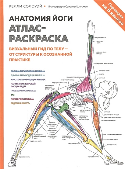 Анатомия йоги: атлас-раскраска. Визуальный гид по телу — от структуры к осознанной практике - фото 1
