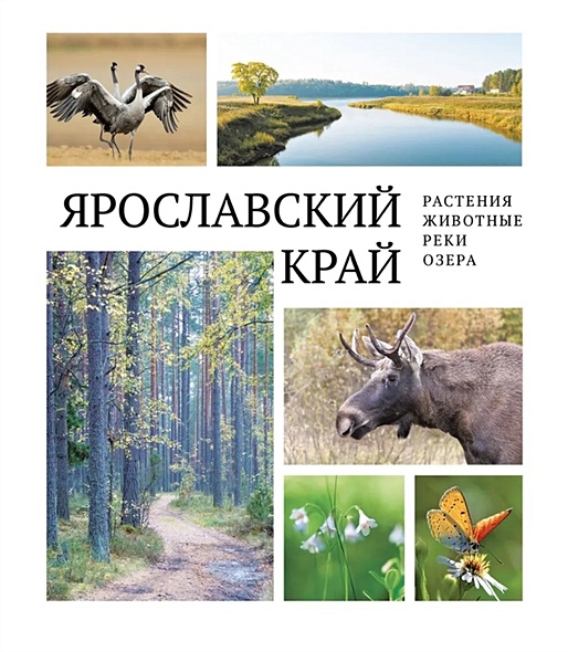 Ярославский край: растения и животные, реки и озера - фото 1
