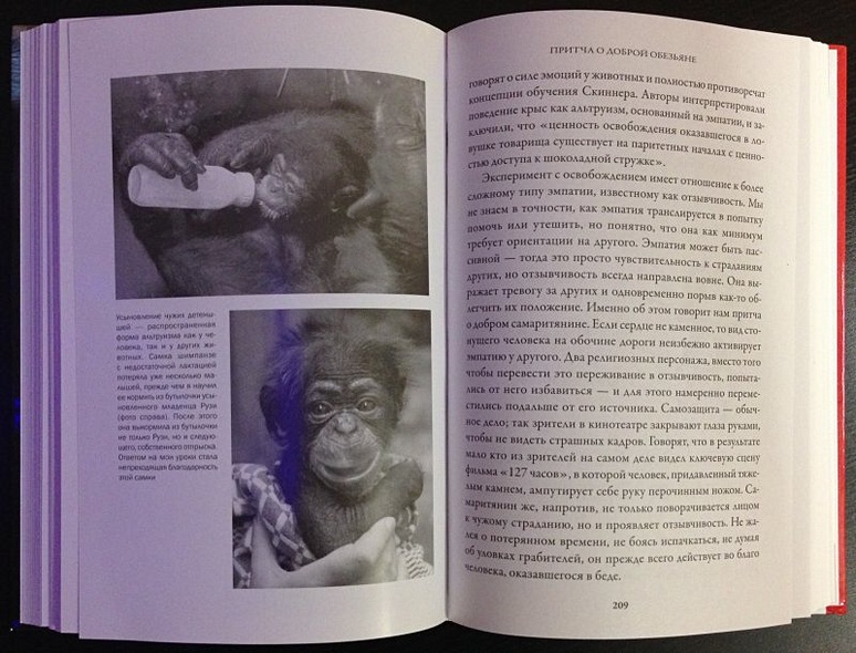 Истоки морали: В поисках человеческого у приматов - фото 11