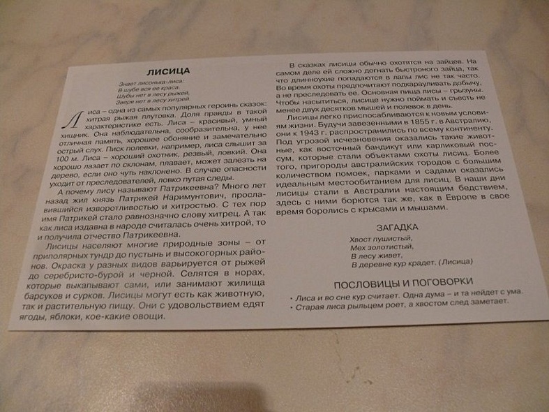 Расскажите детям о лесных животных - фото 7