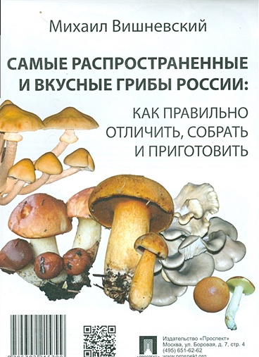 Самые распространенные и вкусные грибы России: Как правильно отличить, собрать и приготовить - фото 1