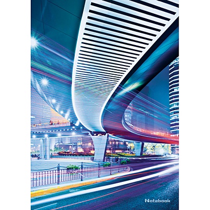 Книга для записей «Городской стиль. Ночной мегаполис», А4, 80 листов - фото 1