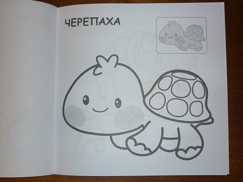 В Африке - фото 14