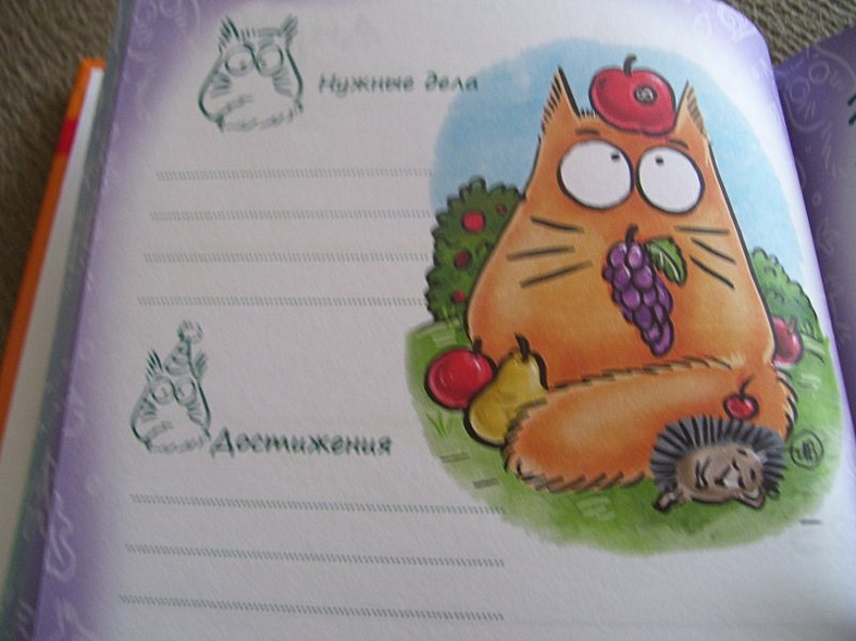 Ежедневник-антидепрессант. Кот Pookie в мире мудрых мыслей - фото 3
