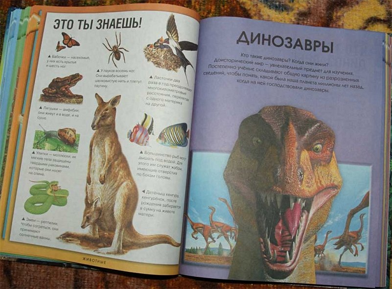 Энциклопедия необходимых знаний - фото 13