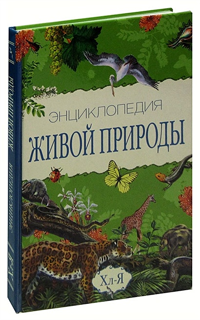 Раненый слон, пчела за работой, лесное родео: лучшие фотографии дикой природы 2023 года