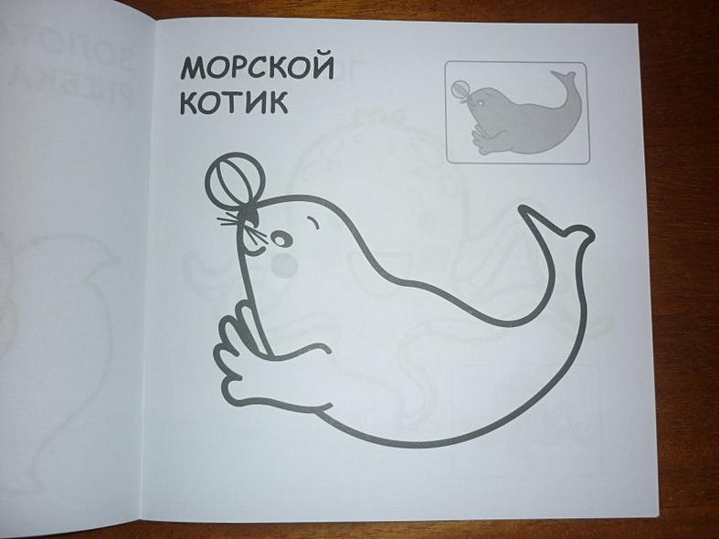 В океане - фото 5