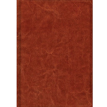 Темно-коричневый (1209) (недатированный А5) ЕЖЕДНЕВНИКИ ИСКУССТВ.КОЖА (CLASSIC) - фото 1