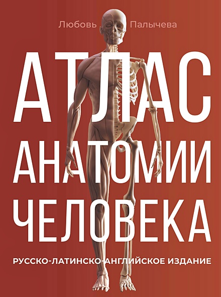 Атлас анатомии человека. Русско-латинско-английское издание - фото 1