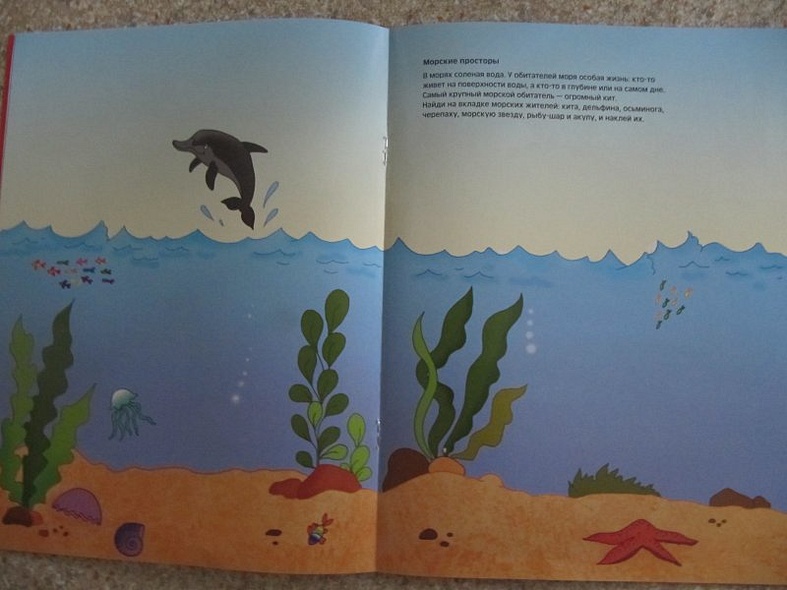 Где живет жираф - фото 11