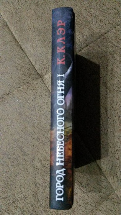 Город небесного огня. Книга первая - фото 4