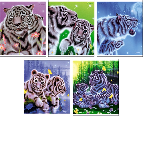 "The art of Kentaro Nishino". Белые тигры. ЛИЦЕНЗИЯ 48л., 5 видов ТЕТРАДИ А5 (*скрепка) 48Л. Обложка: печать по металлизированной пленке - фото 1