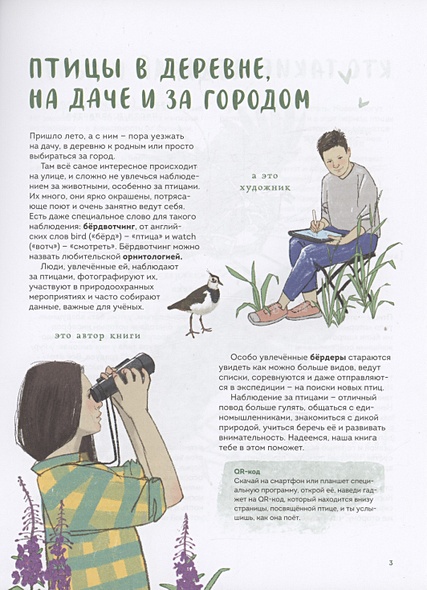 Птицы в деревне. Где найти и как узнать • Анна Евсеева, художник Маша ...