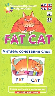 Англ5. Толстый кот (Fat Cat). Читаем сочетания слов. Level 5.  Набор карточек - фото 1