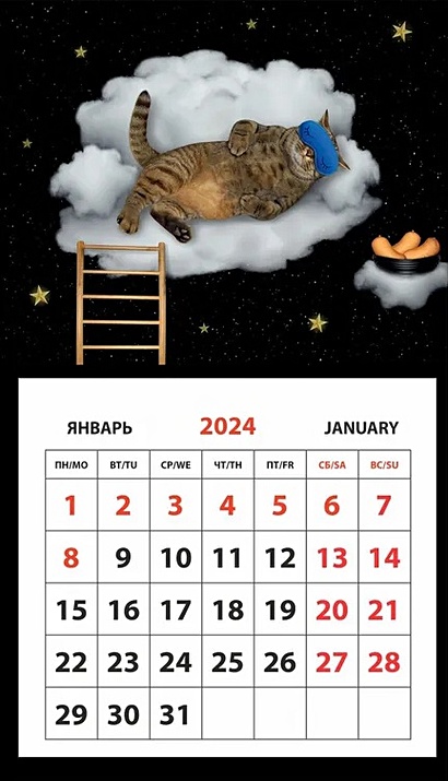 Календарь 2024г 95*165 "Кот на облаке" на магните - фото 1