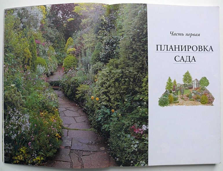 Все о планировке сада - фото 5