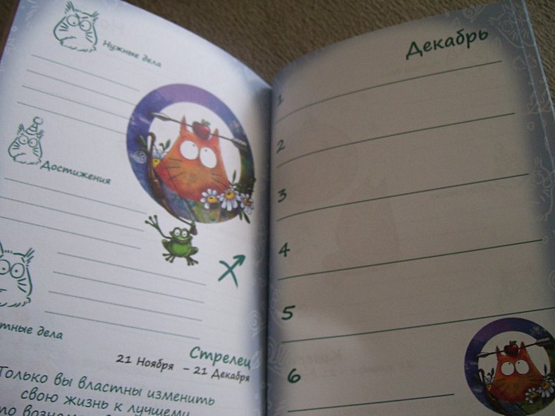 Ежедневник-антидепрессант. Кот Pookie в мире мудрых мыслей - фото 7