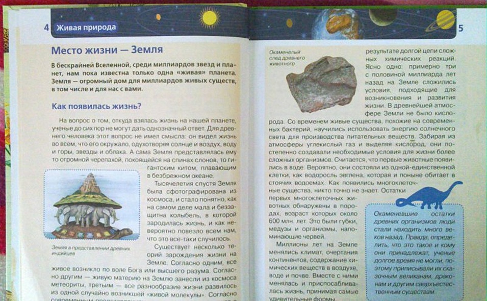 Живая природа. Детская энциклопедия - фото 9