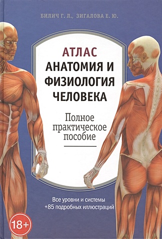 Атлас: анатомия и физиология человека - фото 1