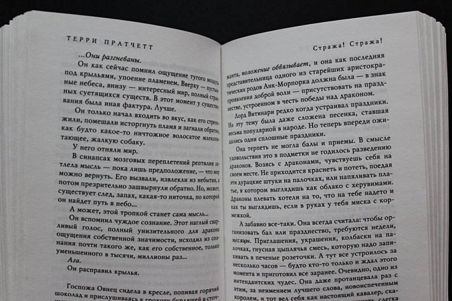 Стража! Стража! - фото 13