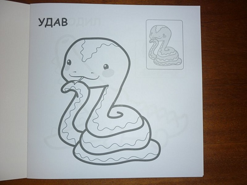 В Африке - фото 3