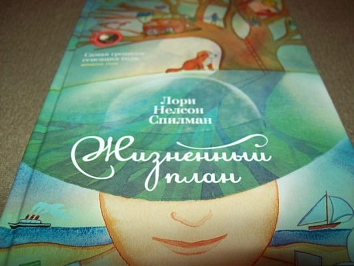 Жизненый план - фото 11