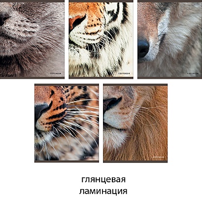 Портреты (животные) 48л., 5 видов ТЕТРАДИ А5 (*скрепка) 48Л. Обложка: ламинирование - фото 1