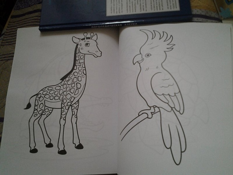 Первые картинки - фото 2