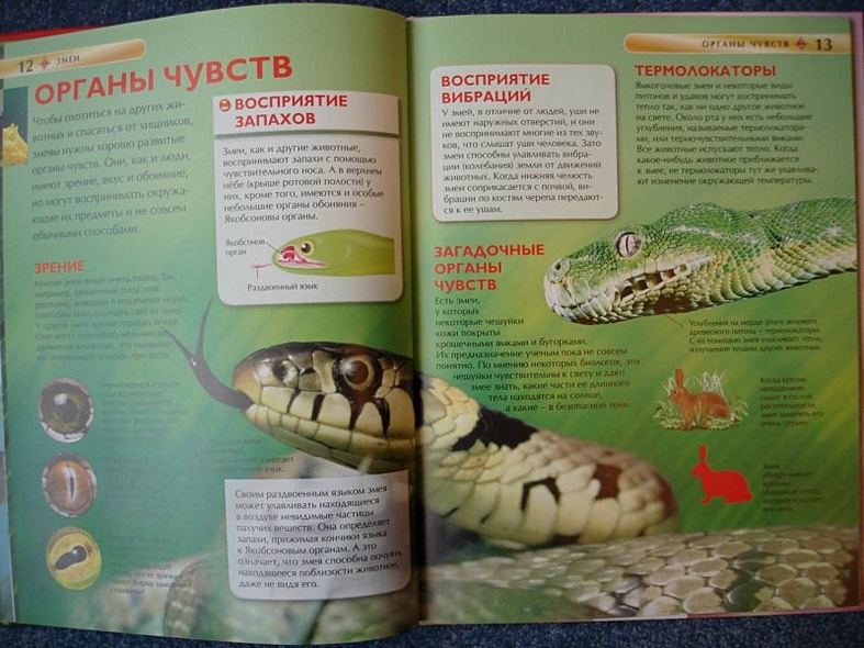 Змеи - фото 7