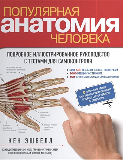 Популярная анатомия человека. Подробное иллюстрированное руководство с тестами для самоконтроля - фото 1