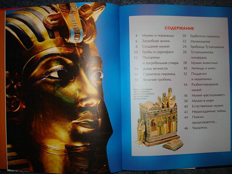 Мумии и пирамиды. - фото 2