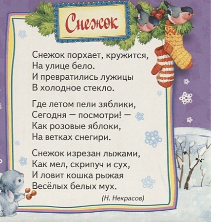 Николай Некрасов — Снежок
