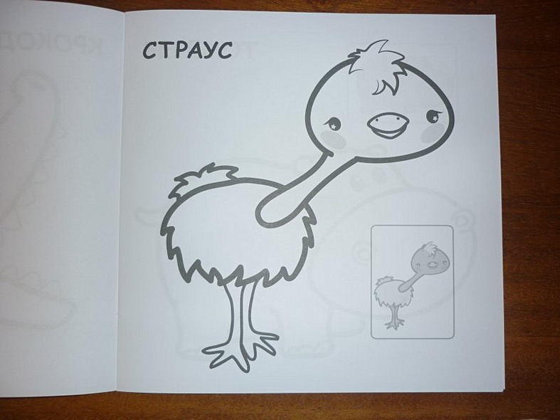 В Африке - фото 5