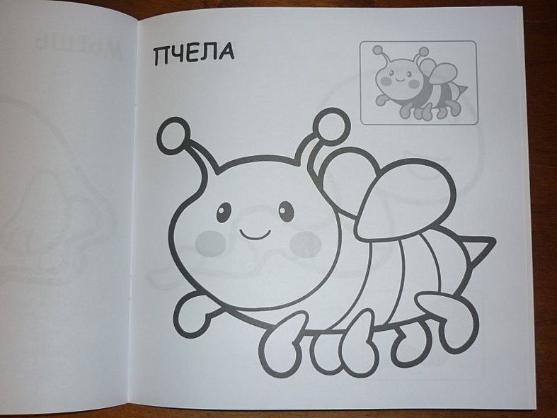 На лугу - фото 14