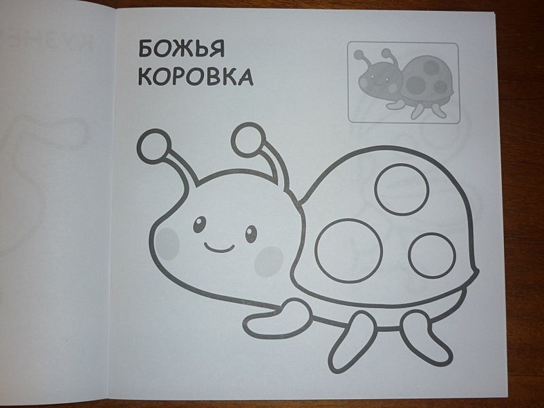 На лугу - фото 8