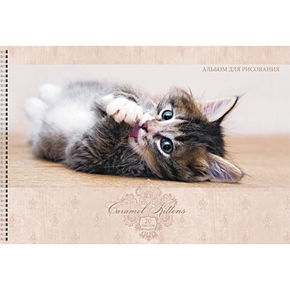 Альбом для рисования «Карамельный котенок», 20 листов - фото 1
