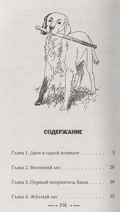 Белый бим черное ухо краткое по главам. Белый Бим черное ухо книга оглавление. Троепольский белый Бим черное ухо сколько страниц. Сколько страниц в книге Бим чёрное ухо. Белый Бим черное ухо иллюстрации к книге.