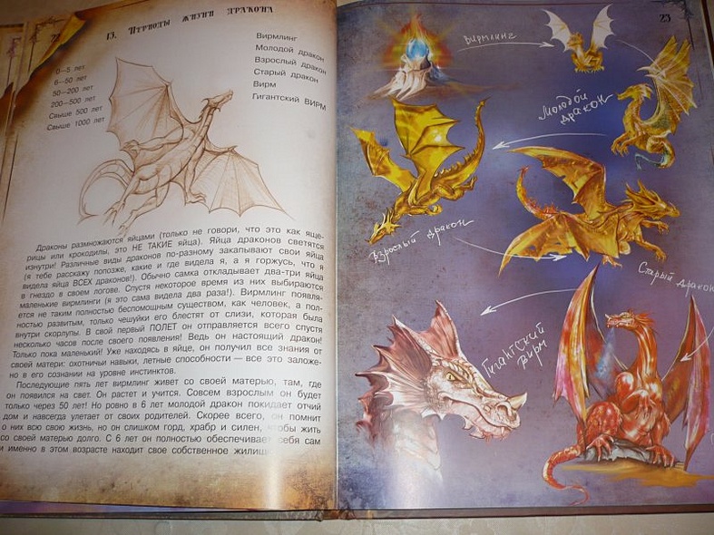 Истинная для короля драконов читать полностью. Энциклопедия о драконах. Книга о драконах энциклопедия. Книга Драконоведение энциклопедия.
