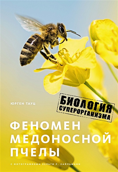 Феномен медоносной пчелы. Биология суперорганизма - фото 1