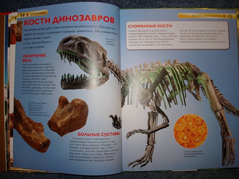 Динозавры - фото 8