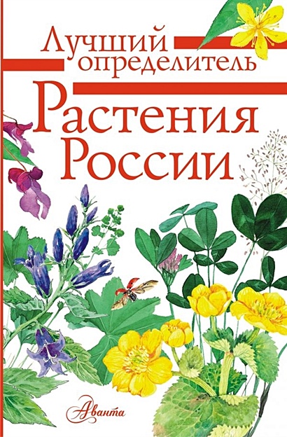 Растения России - фото 1