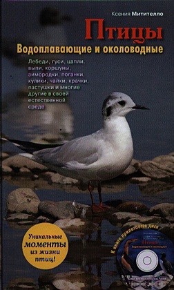 Птицы. Водоплавающие и околоводные (+CD) - фото 1