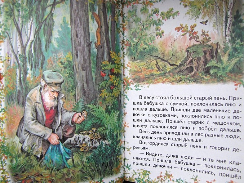 Иллюстрация к сказке катаева старый пень. Пень рассказ катаева. Пень рассказ катаева. Пень рассказ катаева. Иллюстрацию к сказке в.