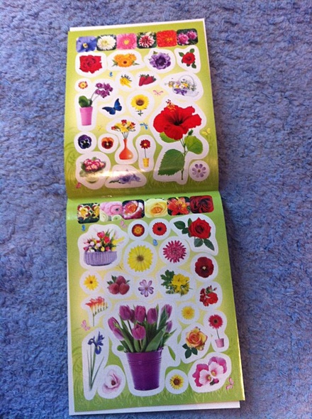 100 наклеек. Цветочки - фото 3