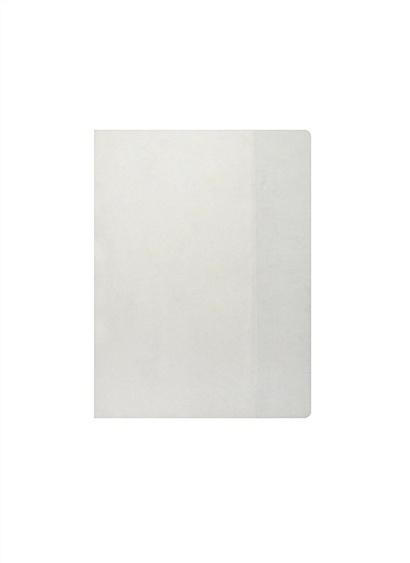 Обложка для рабочих тетрадей "Пропись", прозрачная, 100 мкр, 241*345 мм - фото 1