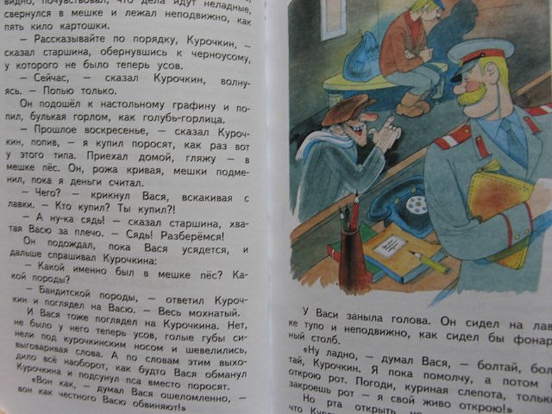 Основная мысль произведения приключения васи куролесова. Приключения Васи Куролесова. Приключения Васи Куролесова иллюстрации Чижикова. Приключения Васи Куролесова диск.