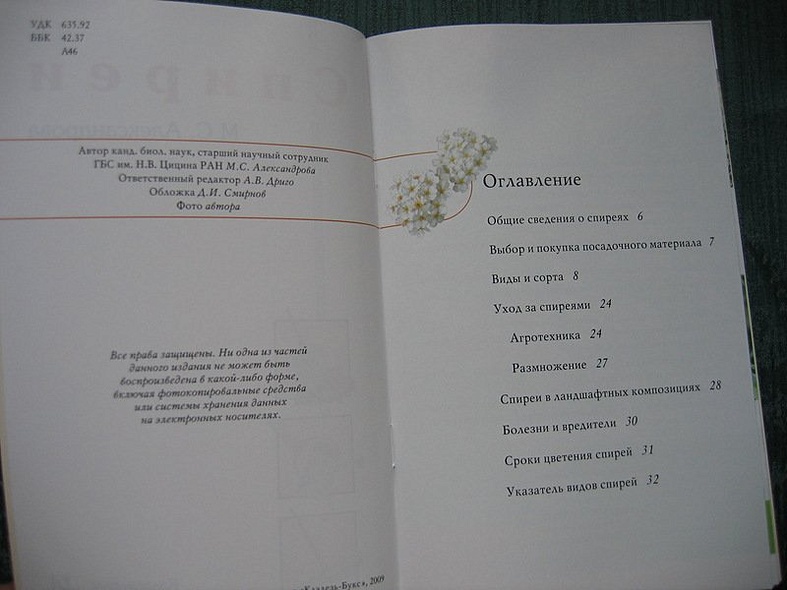 Спиреи - фото 5