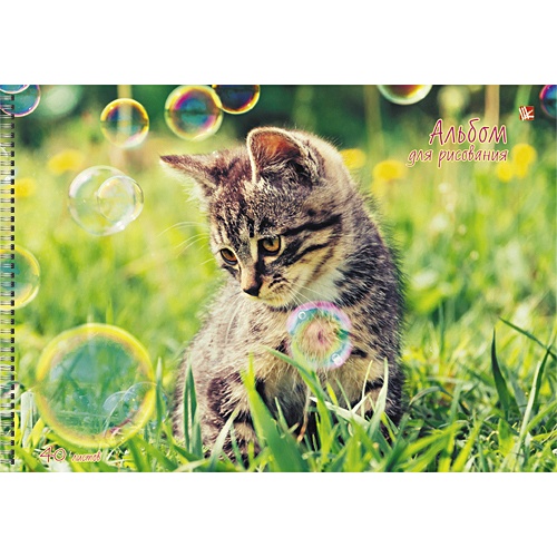 Любопытный котенок АЛЬБОМЫ ДЛЯ РИСОВАНИЯ (гребень). 40 листов - фото 1