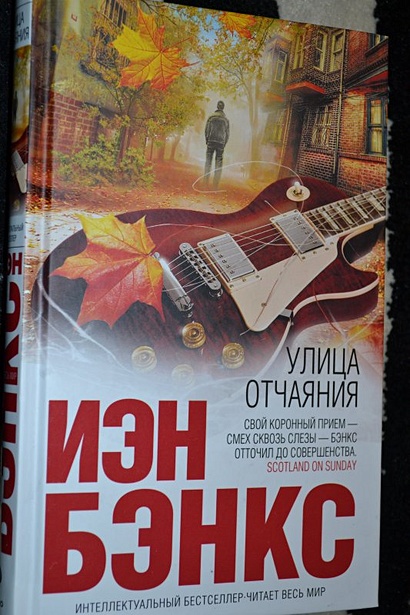Читать книгу отчаяние