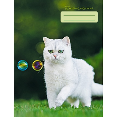 Любопытный кот ДНЕВНИКИ (*ПЕРЕПЛЕТ 7БЦ) для средних и старших классов - фото 1